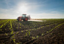 Agro cresce em comercialização, mas gastos faz PIB do setor ter queda, diz levantamento do IBPT