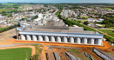 Colheita de grãos de cooperados da Capal alcança 70% da área nesta safra de verão
