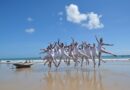 Ensino da dança é tema de seminário nacional em Paracuru