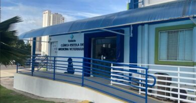Estácio Ceará abre vagas para atendimento veterinário gratuito