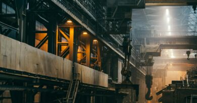 Estado e instituições públicas tiveram papel central na industrialização brasileira entre 1930 e 1980