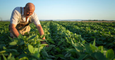Crescimento do agro amplia debate sobre proteção além da safra