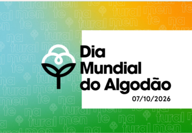 Dia Mundial do Algodão: setor celebra a fibra “naturalmente presente” na economia e na cultura brasileira