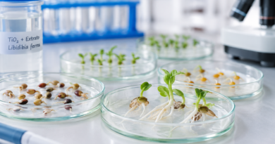 Inovação para o campo: novo material pode contribuir para o tratamento de sementes